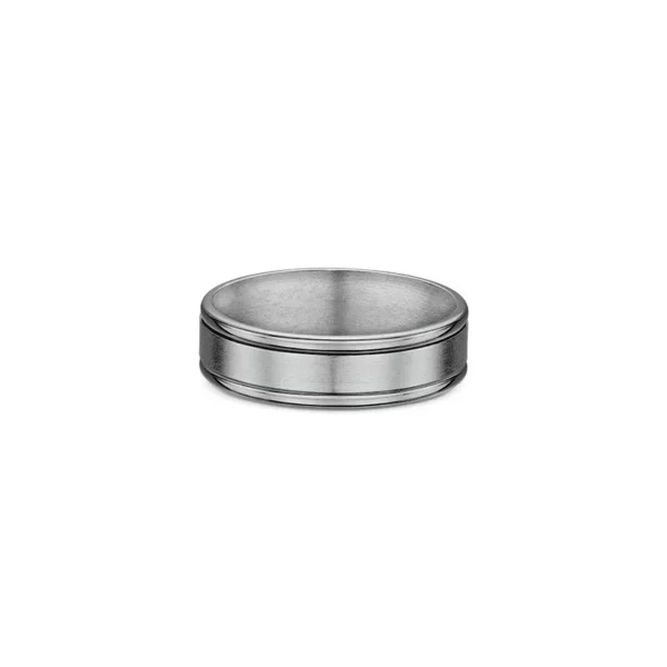 One plain titanium band ring. The ring features a matte finish in the center of the high polish round edge band.