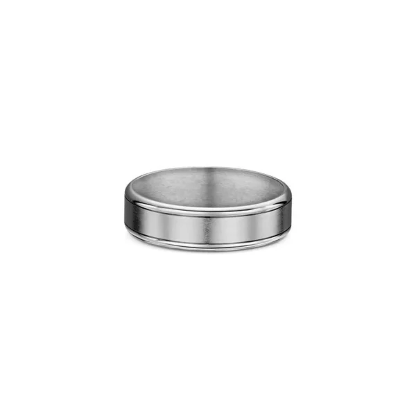 One plain silver band ring. The ring features a titanium in the center of the band.