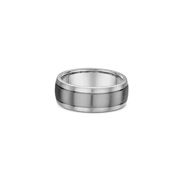 One plain silver band ring. The titanium shade takes its place at the center of the band. The ring directly facing the camera.